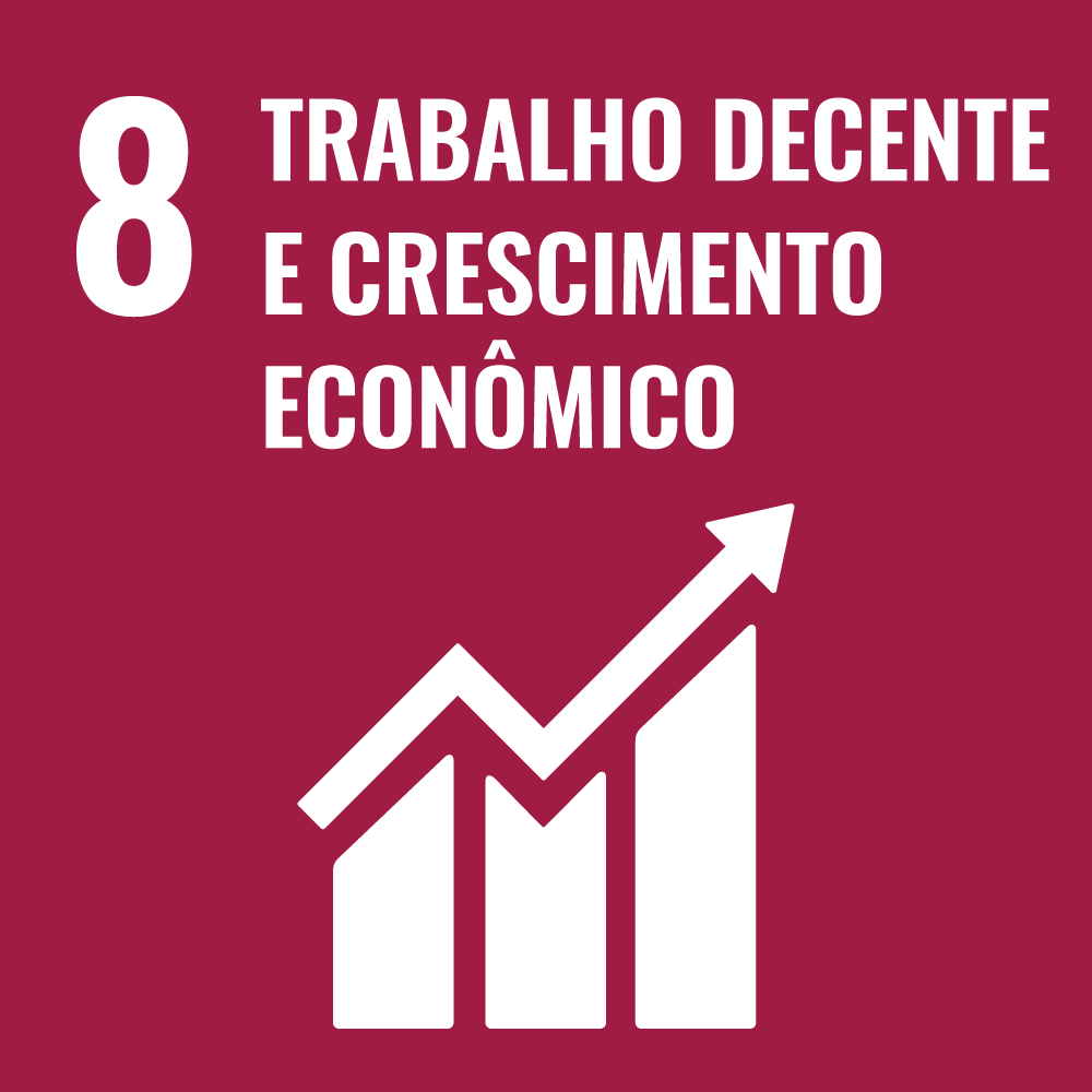  8 Trabalho decente e crescimento econômico